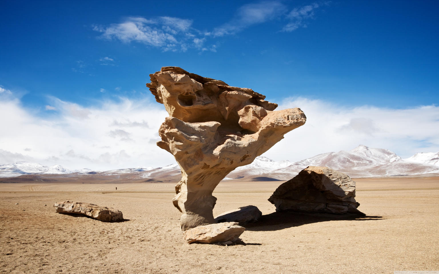 arbol_de_piedra-wallpaper-3840x2400 (2)