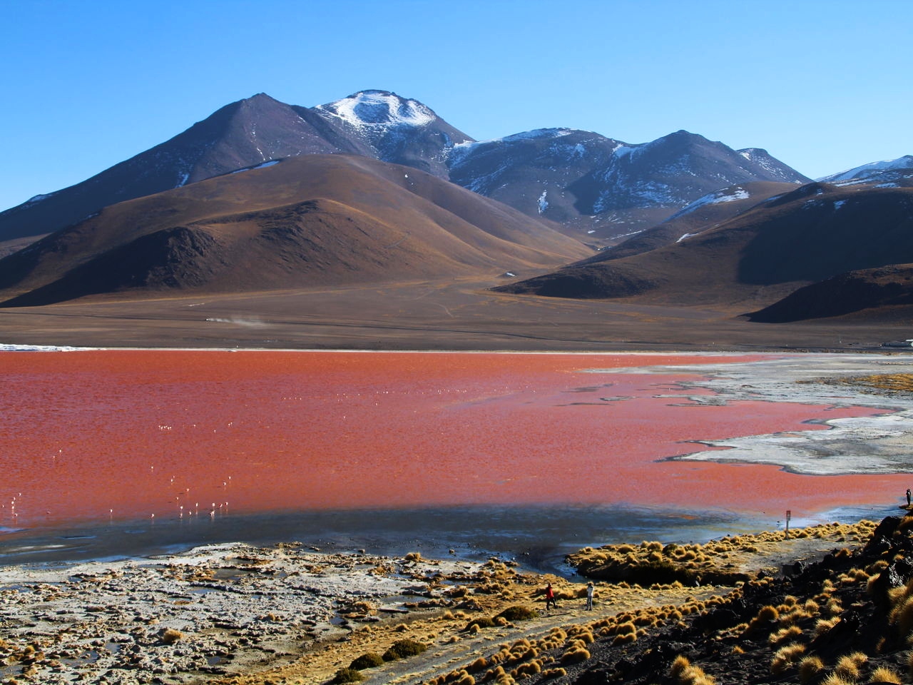 laguna-colorada-2